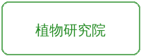 小马拉大车合作品牌植物研究院